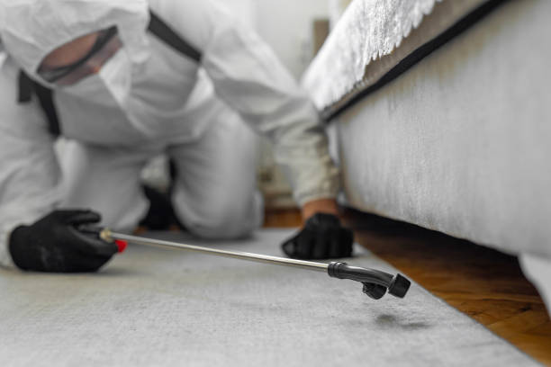 Professional Cockroach Control technician working in Weatherby Lake, MO