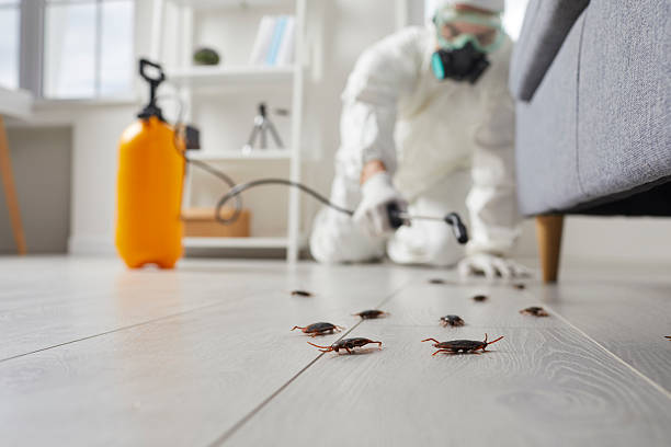 Trusted Fumigation Services service in Weatherby Lake, MO - Nex Pest Control
